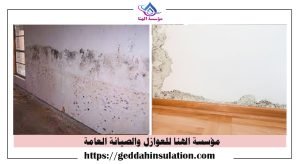 معالجة الرطوبه بمكة