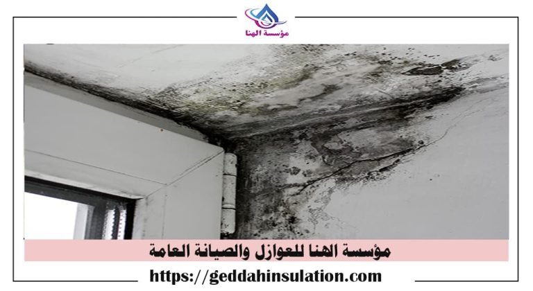 حل مشكلة الرطوبه في مكه