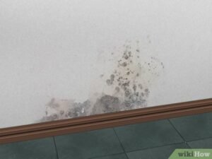 التخلص من الرطوبه داخل الجدران